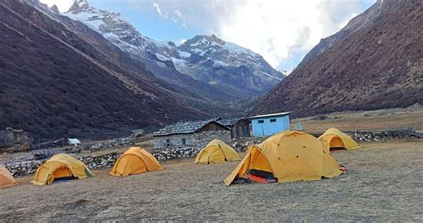 Kanchenjunga Yangma Valley Trekking Kanchenjunga Region Treks In