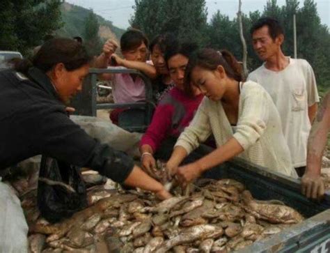 農村人捕魚規模真大，魚成車的拉，感覺全村人都來了 每日頭條