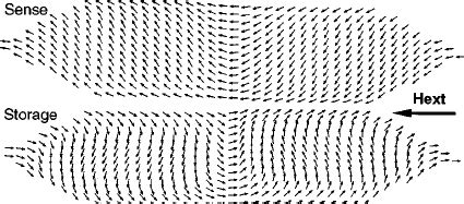 initial equilibrium magnetization distribution showing