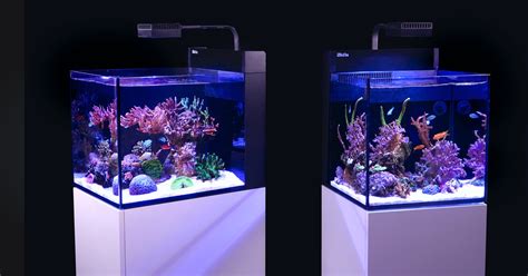 Red Sea Max Nano Cube And Peninsula Plug And Play All In One Reef Tanks
