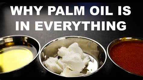 Why Palm Oil Is In Everything And Why Thats Bad Youtube