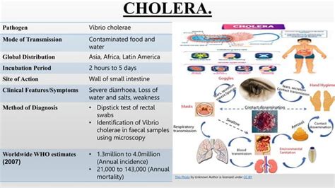 Infectious Diseases Pptx