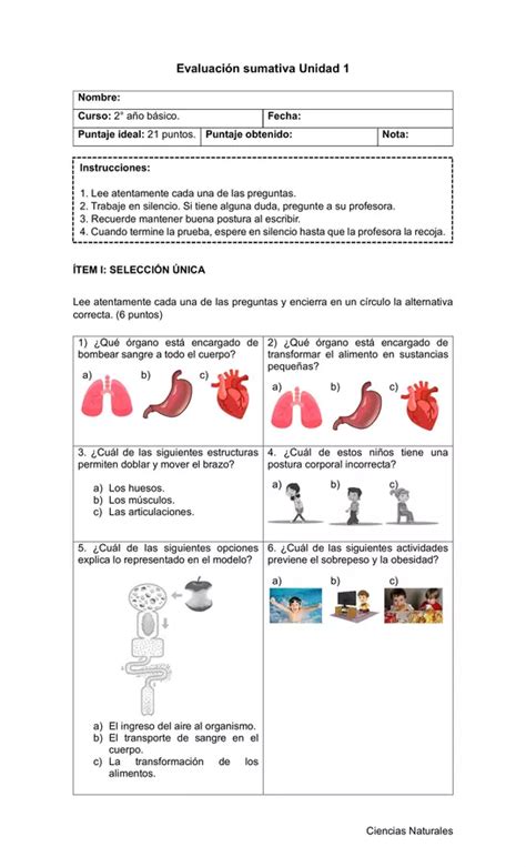 Evaluación Sumativa Unidad 1 Ciencias Naturales Profe Social