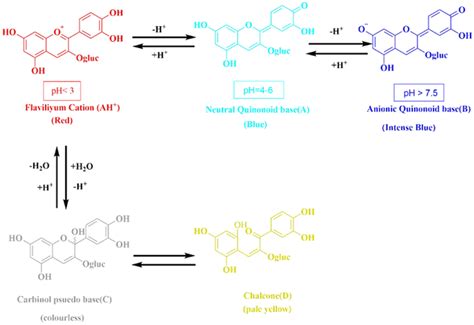 Structural Transformation Of Anthocyanin Cyanidin Glucoside At