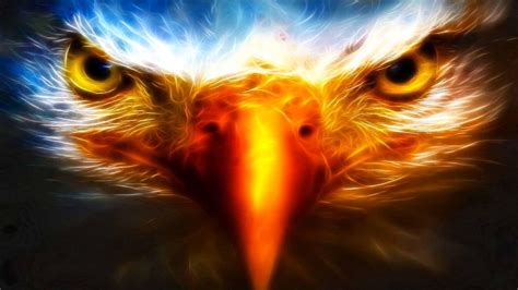 Eagle Desktop Wallpapers - Wallpaper Cave