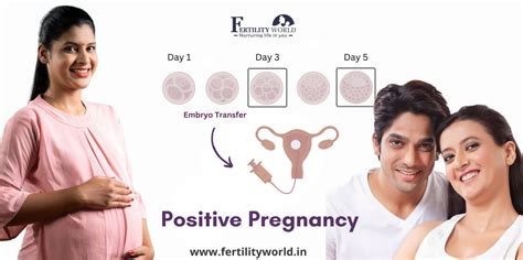 Top Fertility Clinic In Hyderabad Best Ivf Centre In Hyderabad