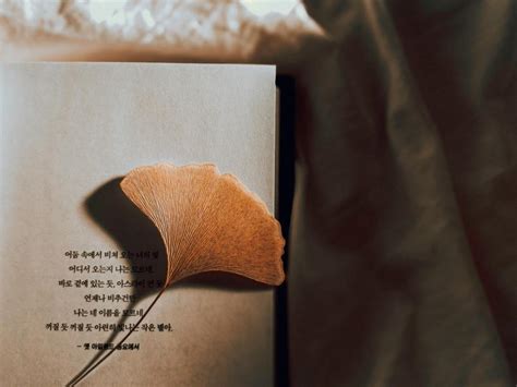 Learning The Korean alphabet