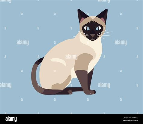 Cute Siberian Cat Flat Vector Illustration Stock Vector Image And Art Alamy