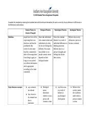 Cj Module Three Assignment Template Docx Cj Module Three