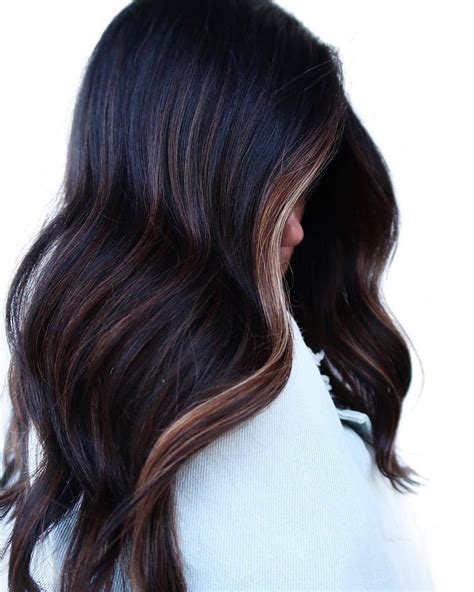 30 Classy Black Hair with Highlights Ideas - Hair Adviser