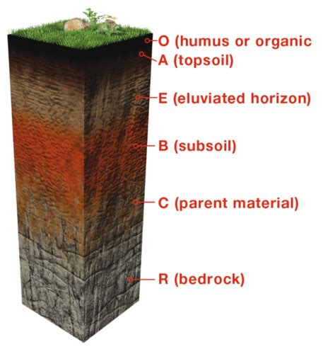 Earth Systems Test 3 Review Flashcards Quizlet