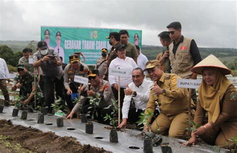 Gubernur Edy Rahmayadi Dukung Penuh Pencanangan Kawasan Pertanian