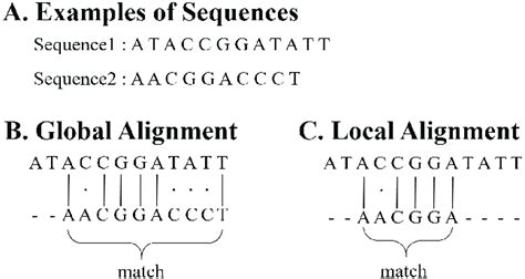 Example Of Global And Local Alignment In Two Sequence In The Figure A