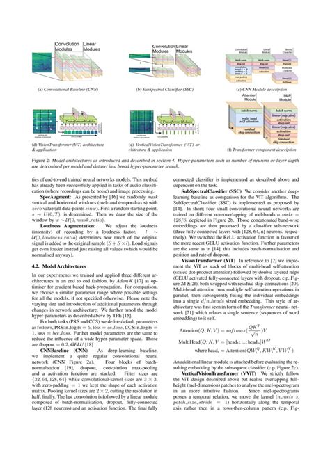 Visual Transformers for Primates Classification and Covid Detection | DeepAI