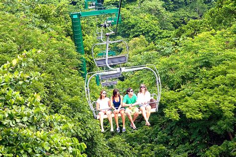 Mystic Mountain Explorer Bobsled Falmouth Montego Bay Ocho Rios Shore