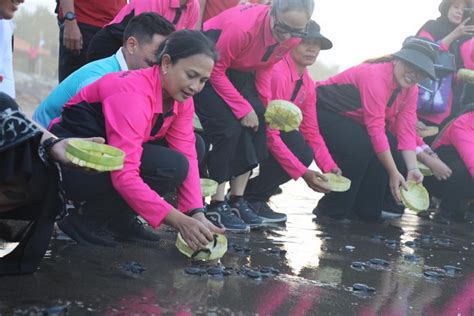 Lestarikan Ekosistem Laut Bhayangkari Polri Lepas Tukik Di Pantai