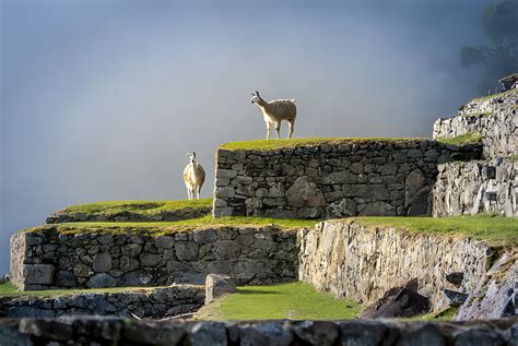 Unlocking Adventure Machu Picchu Circuit 1 Exploration Options Peruways