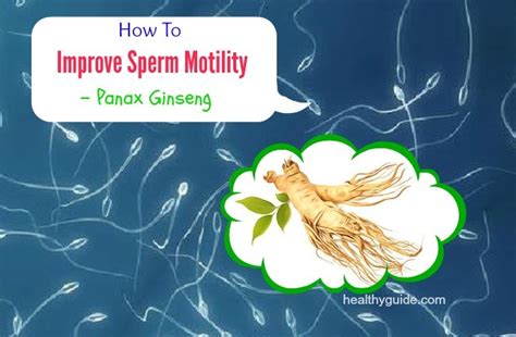 15 Tips How To Improve Sperm Motility And Count Fast By Home Remedies