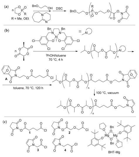 Polymers Free Full Text Functionalized Biodegradable Polymers Via Termination Of Ring