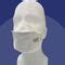 FFP3 Safety Mask FM003L1 Toffeln