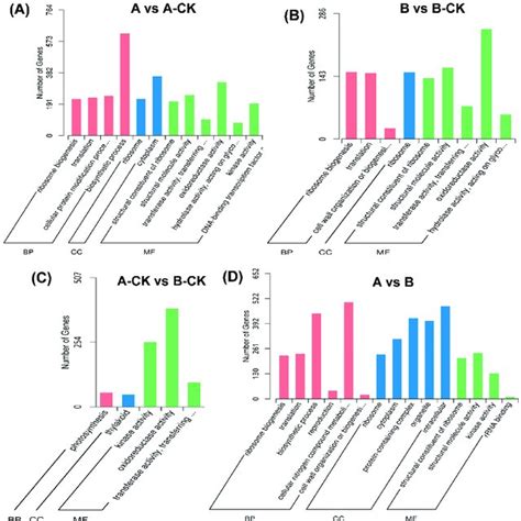 Gene Ontology Go Classifications Of Differentially Expressed Genes