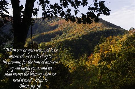 Egw Education Quotes