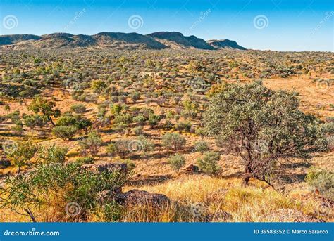 Australian Bush Northern Territory Stock Photo Image Of Nature