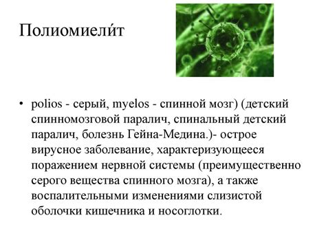 Полиомиелит. Источник инфекции - презентация онлайн