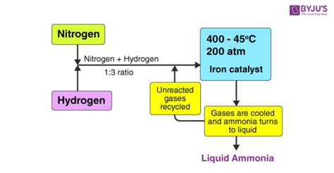 Balanced Chemical Equation For The Synthesis Of Ammonia From Hydrogen ...