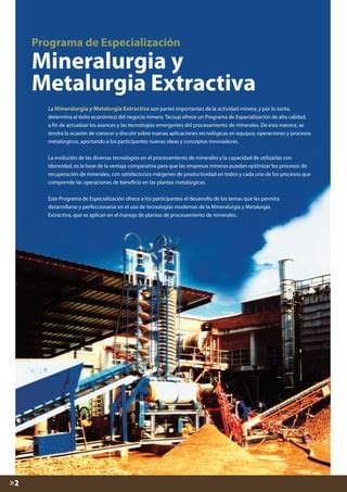 Mineralurgia Y Metalurgia Extractiva Pdf