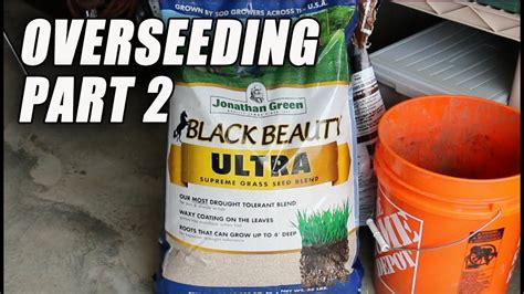 Jonathan Green Black Beauty Ultra Overseeding Part 2 Youtube