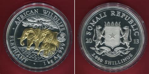 Somalia 2000 Shilling Silbermünze 1 Kilo Silber 2013 African Wildlife