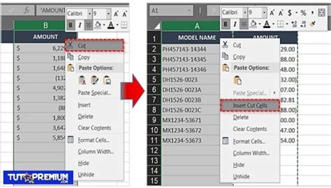 Cómo Intercambiar Dos Columnas En Excel Tuto Premium