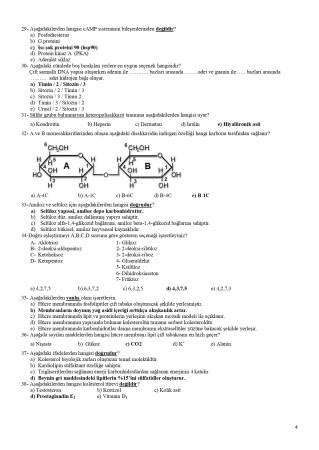 Temel Biyokimya Telafi S Nav Sorular Sayfa Vize Ve Final