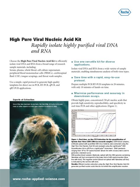 High Pure Viral Nucleic Acid Kit Pdf Real Time Polymerase Chain