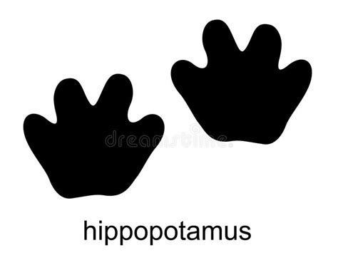 Hippo Footprint Stock Illustrations – 116 Hippo Footprint Stock Illustrations, Vectors & Clipart ...