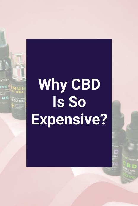 Why Cbd Is So Expensive Maxs Indoor Grow Shop