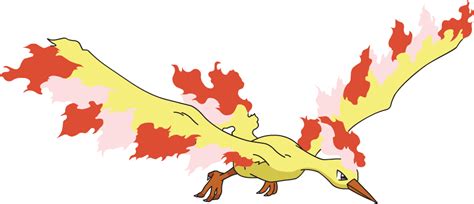 Moltres Pokemon Png Isolated Clipart Png Mart