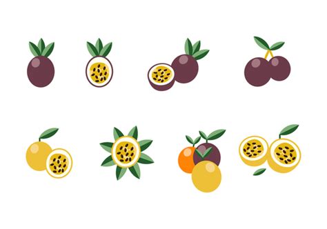 Passion Fruit Vector Art Icons And Graphics For Free Download