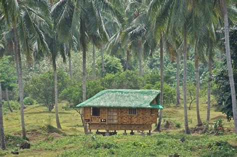 Fruits And Vegetables In The Philippine Folk Song Bahay Kubo Nipa Hut Bahay Kubo