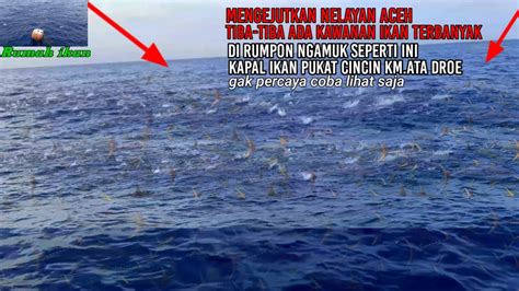 Mengejutkan Nelayan Tiba Tiba Ada Kawanan Ikan Terbanyak Di Rumpon Lagi