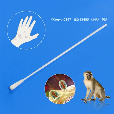 Disposable Flocked Specimen Collection Medical Sterile Oral Swab Stick