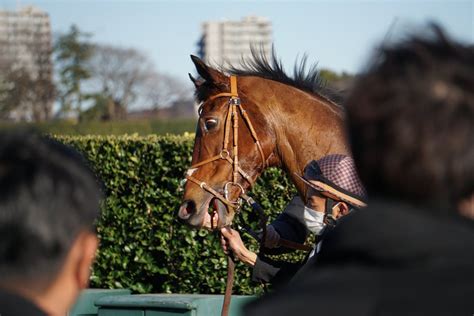 狐のしっぽ On Twitter 20221224中山競馬場 9r ディオスバリエンテ 大野騎手 中村カンナさん