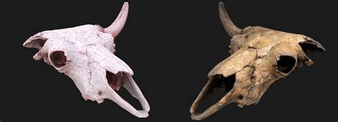 Bull Cow Skull - FlippedNormals