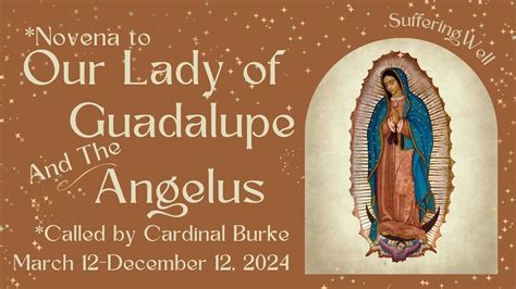 Angelus Novena Our Lady Of Guadalupe Cardinal Burke Nine Months