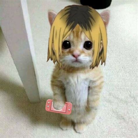 Kenma Cat Gambar Animasi Kartun Gambar Karakter Animasi