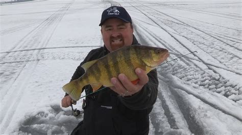 Lake Cascade Ice Perch Youtube
