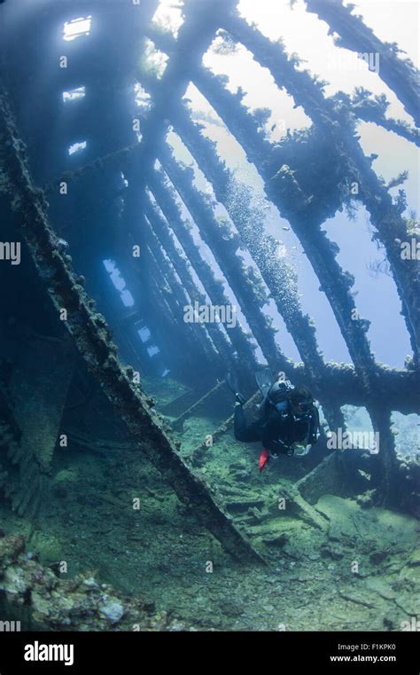 Scuba Diver Exploring Inside A Large Underwater Shipwreck Stock Photo