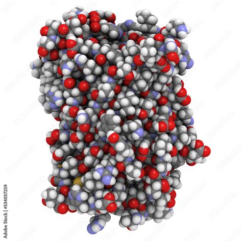 Green fluorescent protein molecule (GFP), chemical structure. GFP is ...