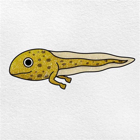 How To Draw A Tadpole Helloartsy